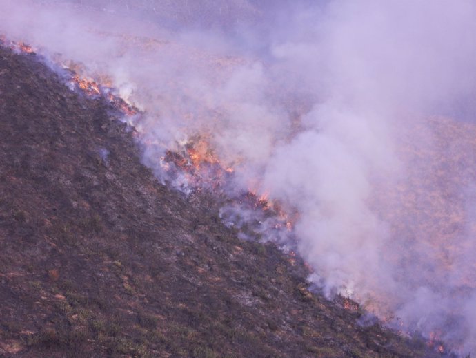 Incendio forestal