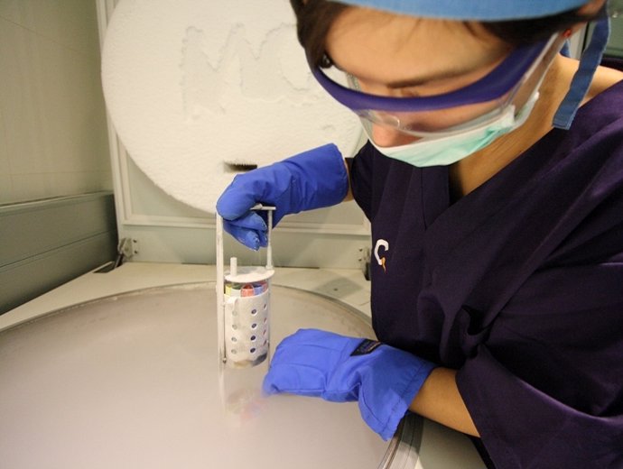 Arcones con vapores de nitrógeno líquido de CREA donde guardan los embriones, ov