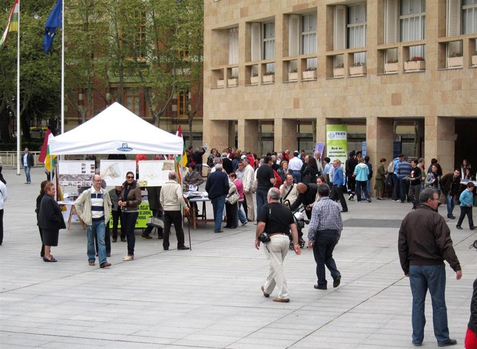 El Ayuntamiento ha acogido la II Concentración de Asociaciones Culturales de La 
