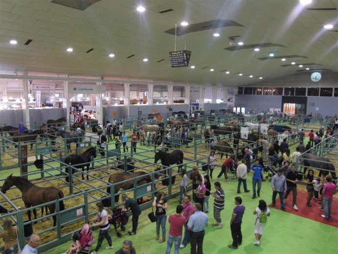 Vista de Equimur 2011