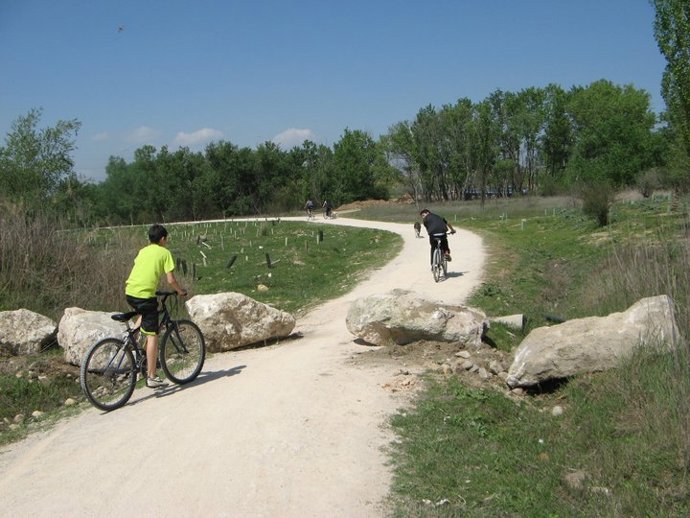 Situación de los caminos del Real Sitio, en San Fernando