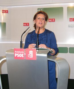 Rosa Torres, este lunes en rueda de prensa