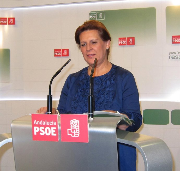 Rosa Torres, este lunes en rueda de prensa