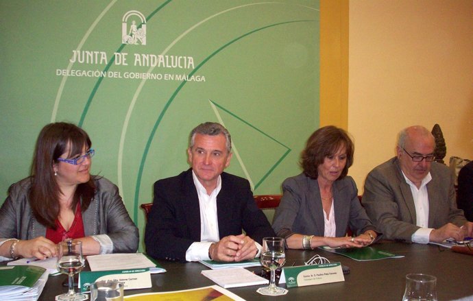 El Consejero De Cultura, Paulino Plata, Preside Una Reunión En Málaga 