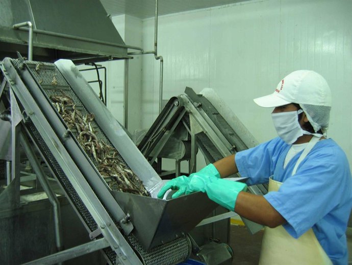 Grupo Consorcio pesca