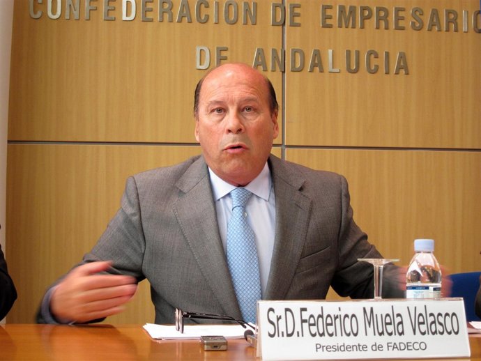 El presidente de Fadeco, Federico Muelas, hoy en rueda de prensa.