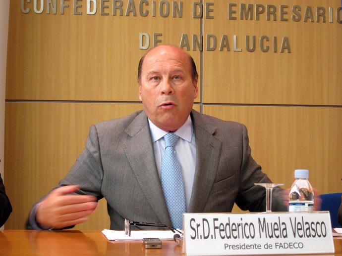 El presidente de Fadeco, Federico Muelas, hoy en rueda de prensa.