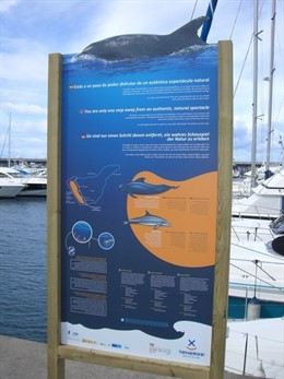 Panel Informativo Sobre Avistamiento De Cetáceos