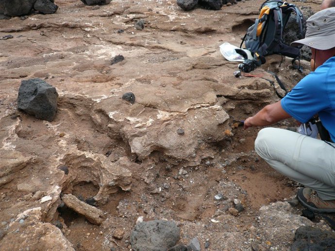 Científicos Españoles Y Portugueses Descubren Restos De Tsunamis En Tenerife