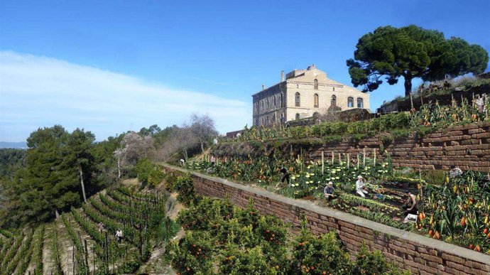 Proyecto de Can Valldaura en Collserola