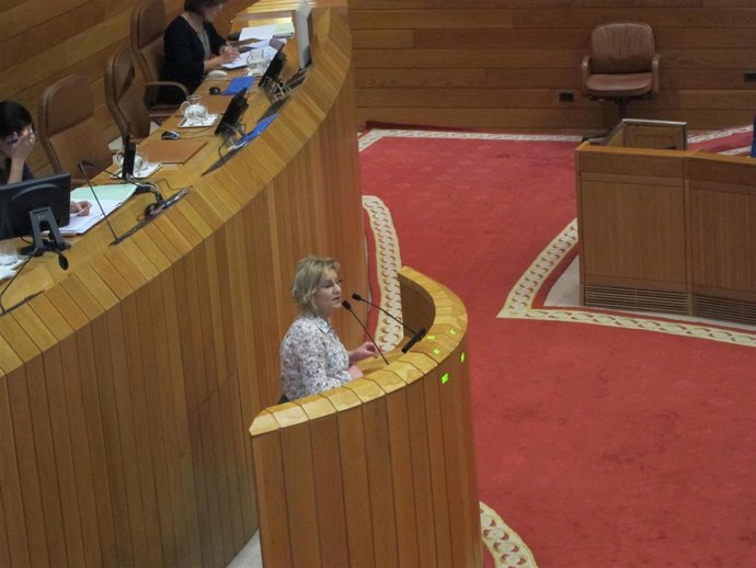 Tereixa Paz, durante la defensa de la iniciativa parlamentaria