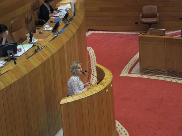 Tereixa Paz defiende la iniciativa