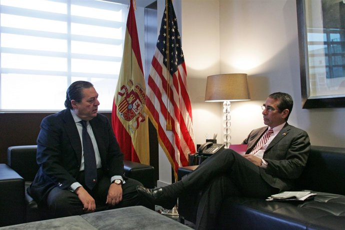 Reunión De Boluda Con Solomon