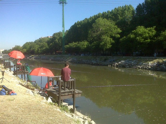 Pesca en el Manzanares