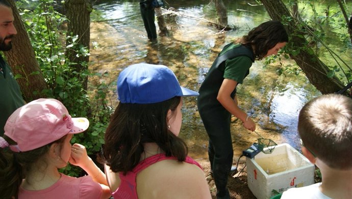 Liberación De Ejemplares De Trucha.