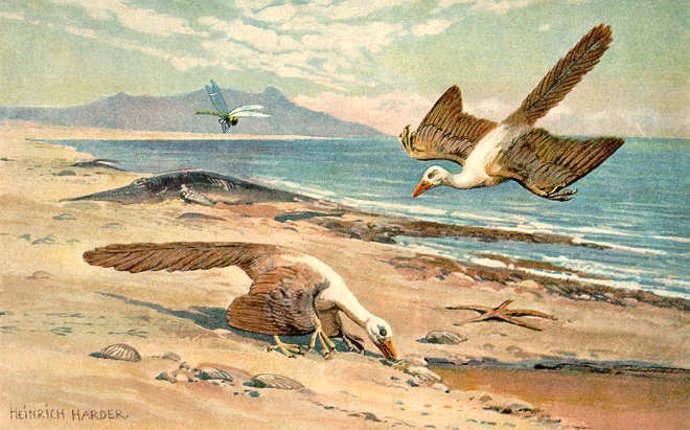 Archaeopteryx'
