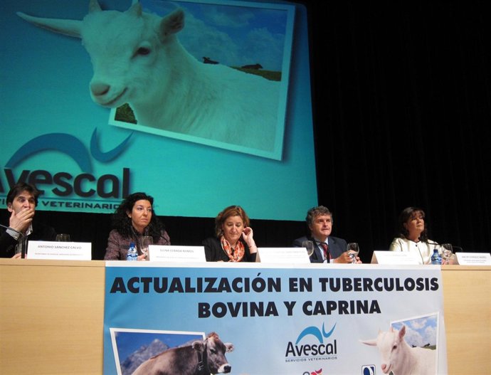 Pascual (C), Durante La Inauguración De La Jornada.