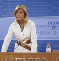 PP-A acusa a PSOE de "no tener escrúpulos" por comparar a Manuel Olivencia con intrusos y comisionistas "de poca monta"