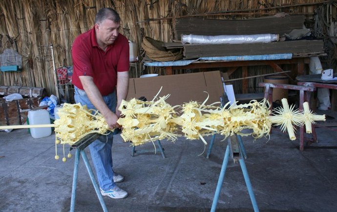 Palmas Blancas Para El Papa