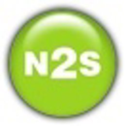 Logo N2S