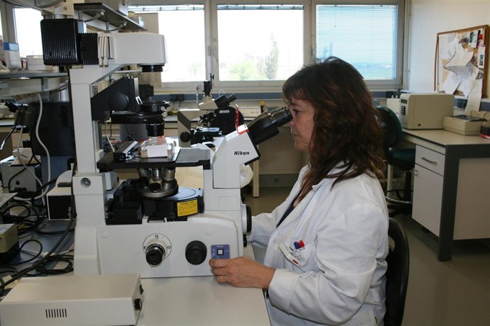 Laboratorio Del CITA