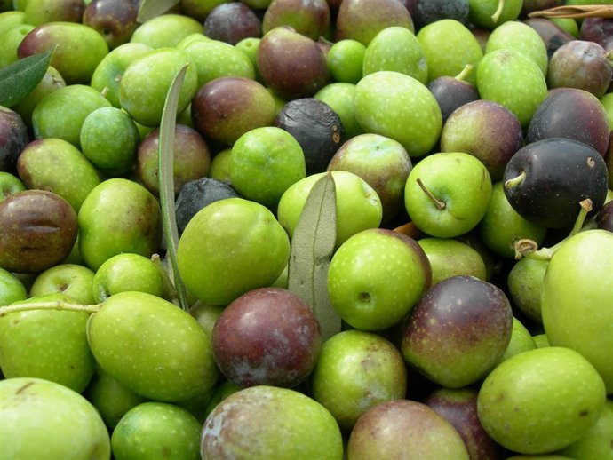 Aceitunas