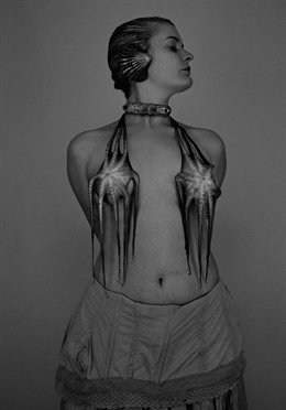 Una De Las Imágenes Expuestas