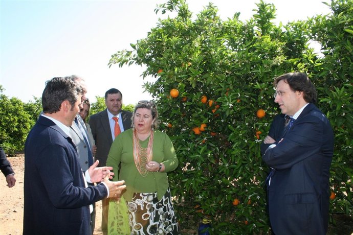 Consejera De Agricultura, Clara Aguilera, En Palma Del Río