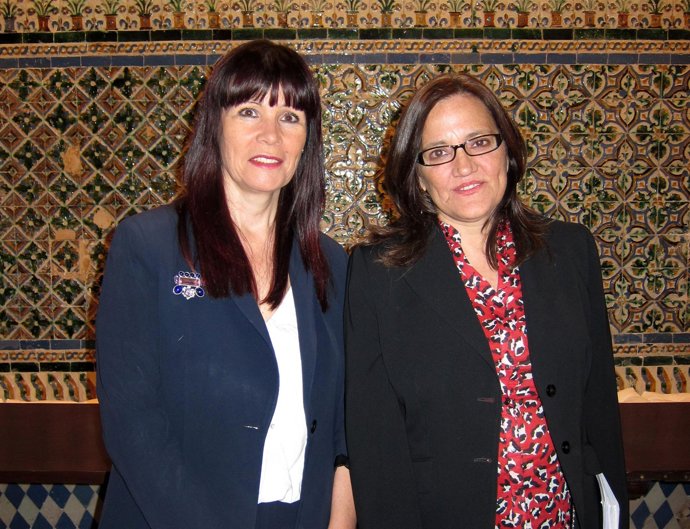 Reunión En Sevilla De La Comisión Interautonómica De Drogas