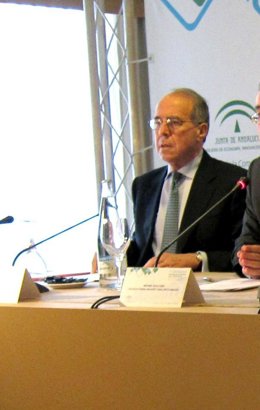 El Presidente De La Comisión Nacional De Competencia, Luis Berenguer