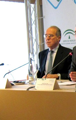 El Presidente De La Comisión Nacional De Competencia, Luis Berenguer