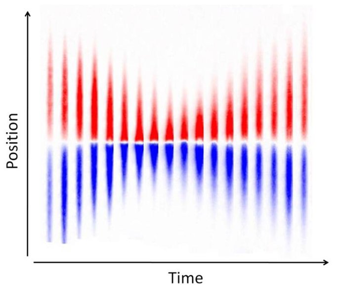 Gases Que Rebotan Entre Sí