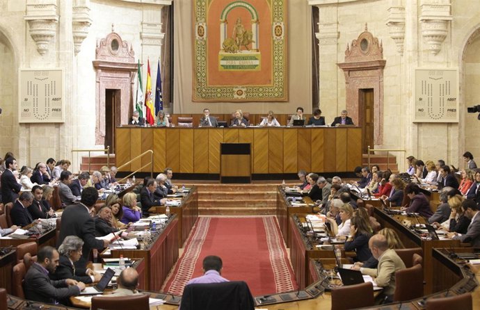 Imagen Del Pleno Del Parlamento