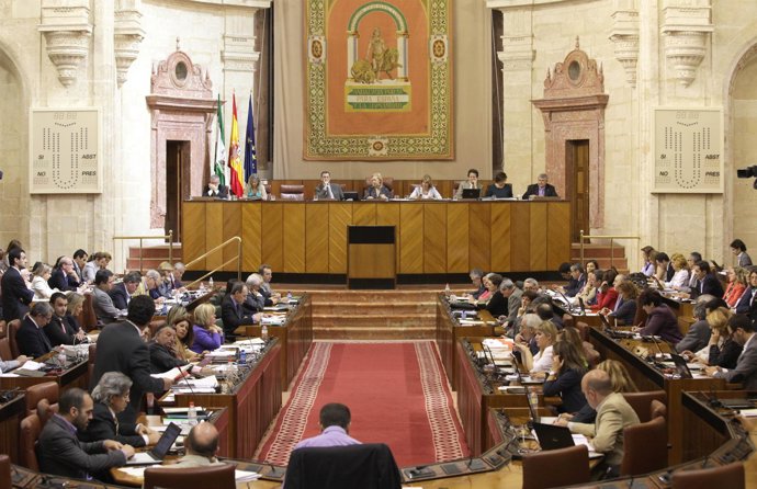Imagen Del Pleno Del Parlamento