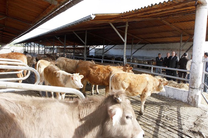 10:30Galizano, Ribamontán al MarEl consejero de Desarrollo Rural, Ganadería, Pes