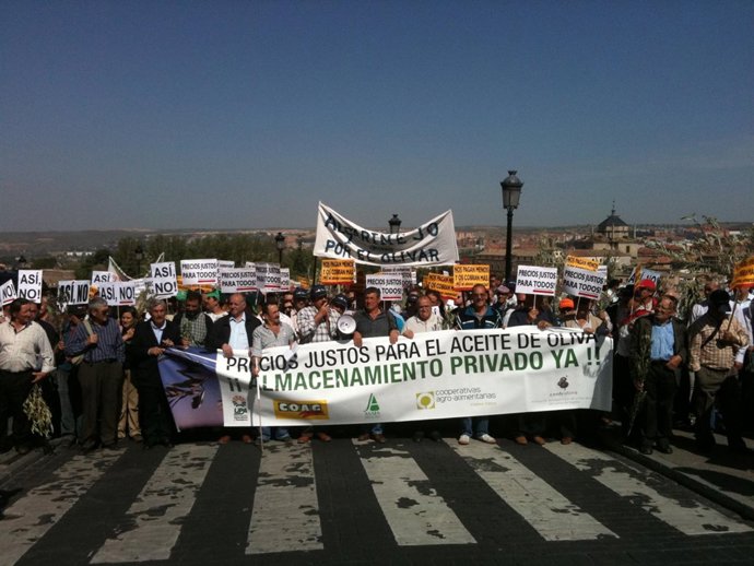 Manifestación Olivareros En Toledo