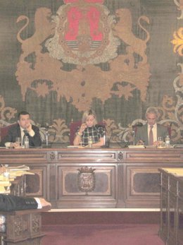 Una Imagen Del Pleno Celebrado En Abril Por El Ayuntamiento De Alicante