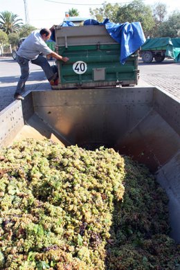 Cooperativa agrícola productora de vino