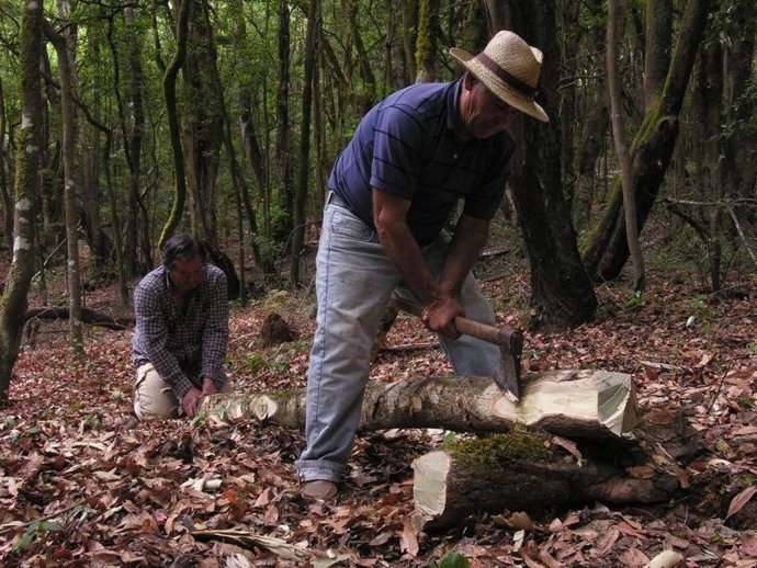 Documental Sobre El Parque Nacional De Garajonay
