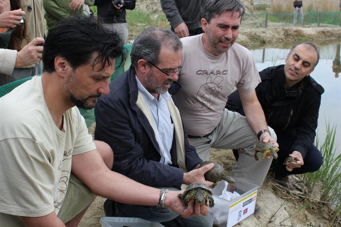 Una De Las Seis Tortugas Liberadas En Lleida
