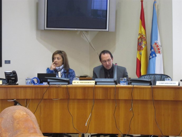 El Secretario Xeral De Política Ligüística, Anzo Lorenzo, En La Comisión