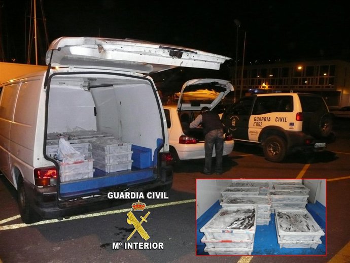 INCAUTACION DE PESCA IRREGULAR