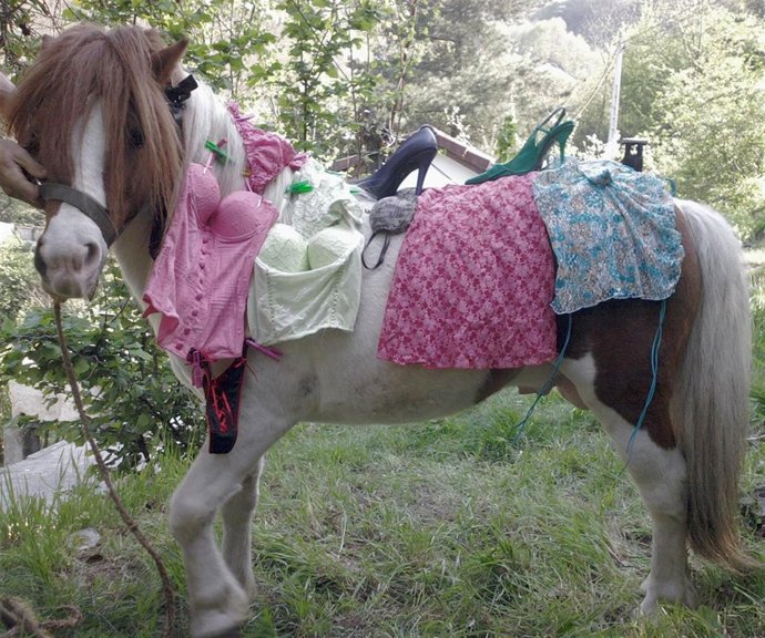 Fotografía Enviada Al Concurso Organizado Por Lencesia-Sexy.Net