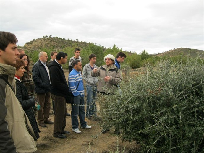Jornada Sobre Forestación