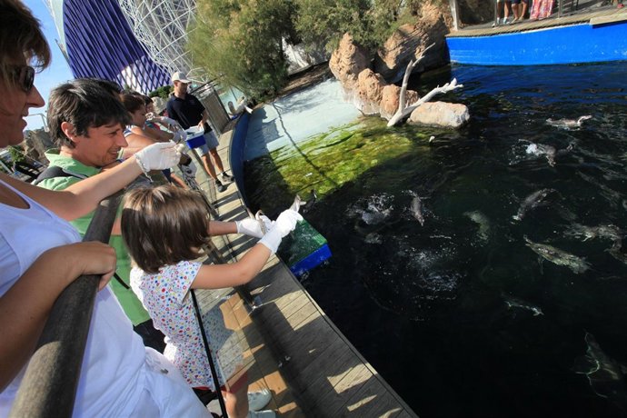 Encuentro Con Pingüinos