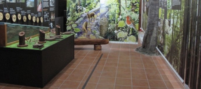 Centro De Interpretación De San Juan De Plan (Huesca)