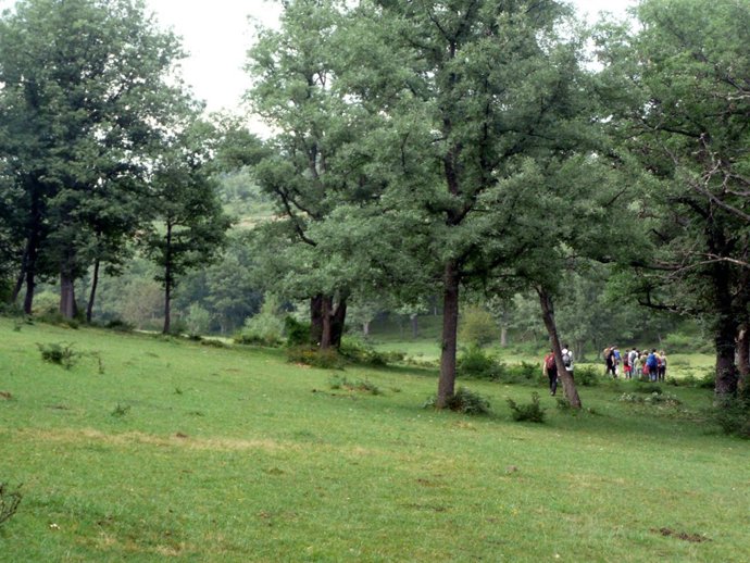 Medio Ambiente Ha Habilitado Tres Nuevos Senderos En Sierra De Cebollera