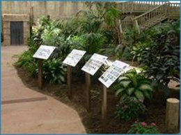 Mariposario de Benalmádena