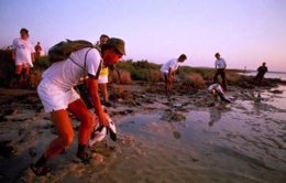 Imagen Del Anillamiento De Flamencos En La Laguna De Fuente De Piedra