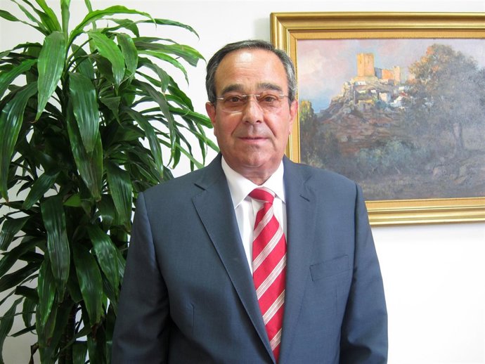 El Presidente De Martín Casillas, Francisco Martín González